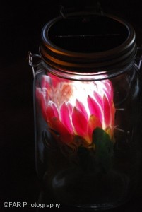 Consol Solar Jar