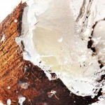 The Health Benefits of Coconut