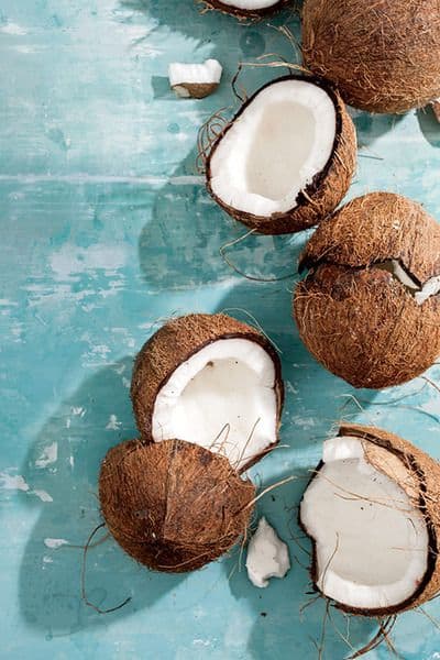 Coconut2