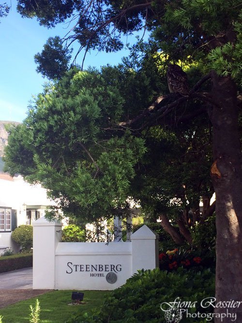 Steenberg-Hotel