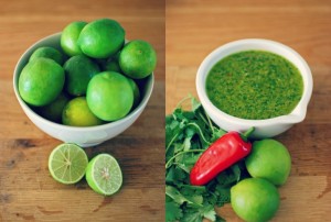 Coriander Pesto