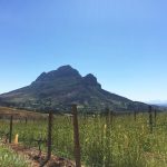 Summer Escape to the Beautiful Cape Winelands