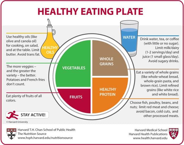 Healthy Food Choice Healthy Eating Plate