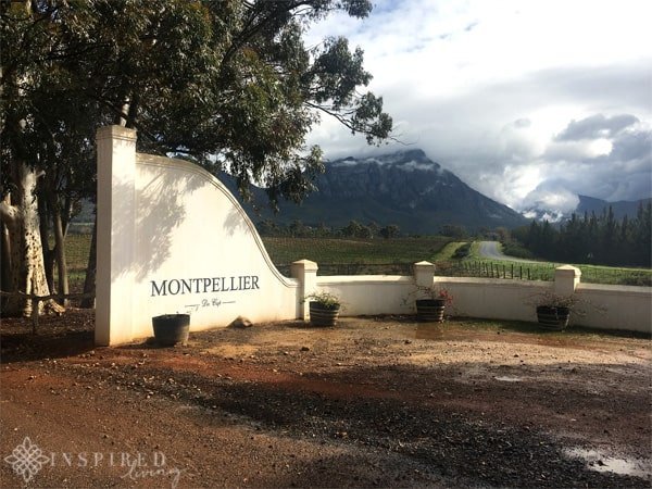 Montpellier Wine Estate