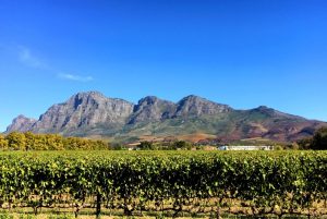 Mother's Day in Franschhoek