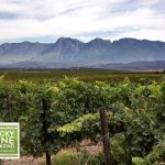 Wacky Wine Weekend 2018 Robertson Wine Valley