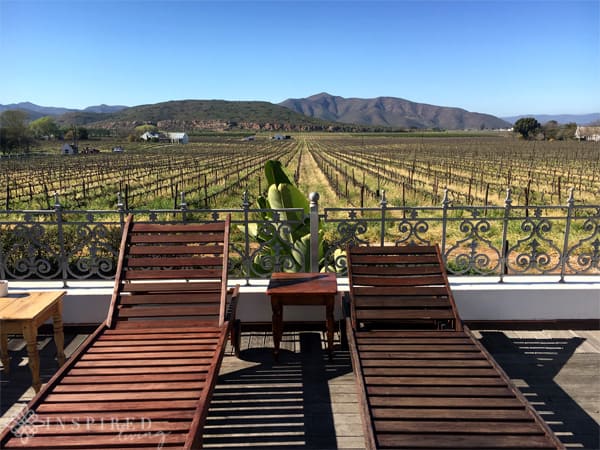 Excelsior Wine Estate