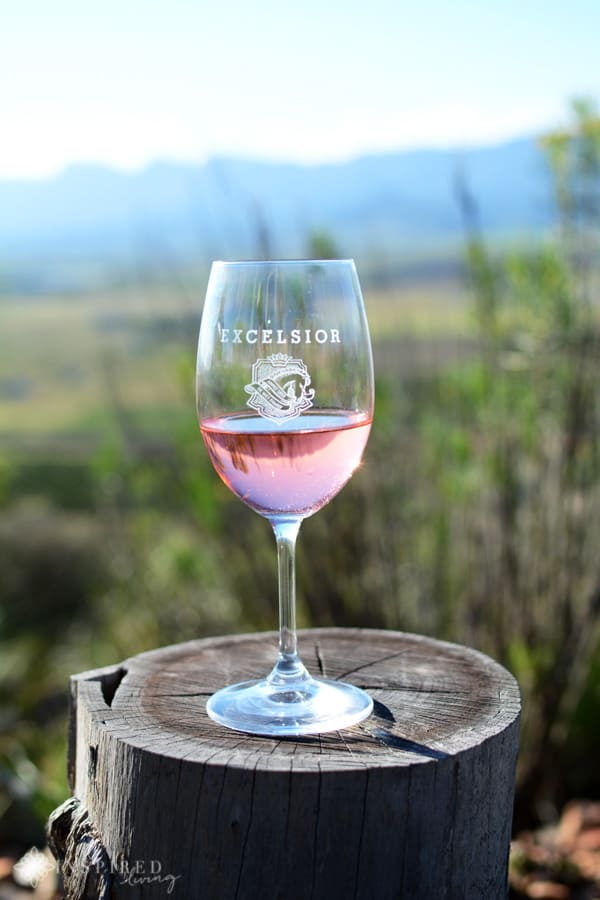 Excelsior Wine Estate