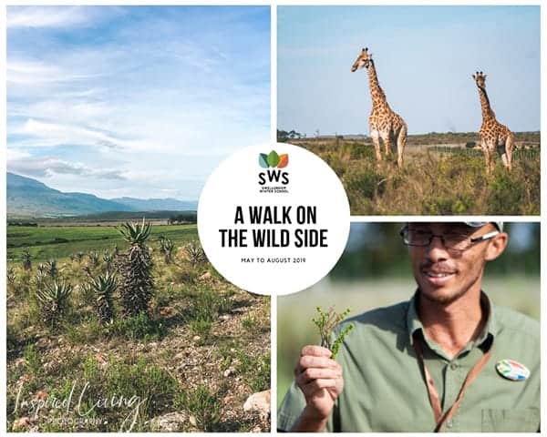 Swellendam Winter School A Walk on the wild side