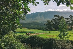 Swellendam Winter School