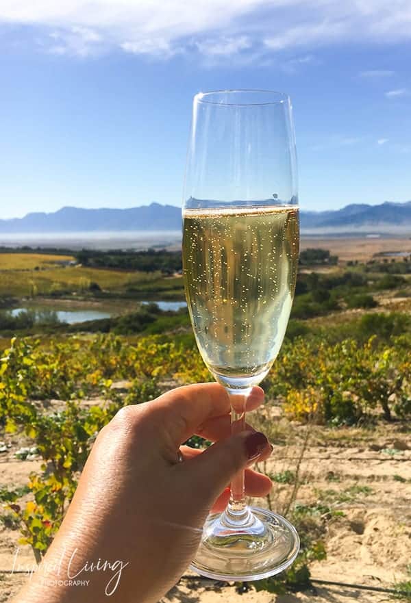Bubbly in the vineyards