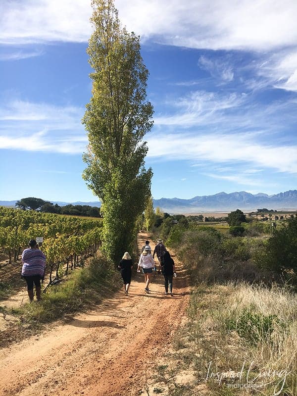 Voor-Paardeberg Wine Region