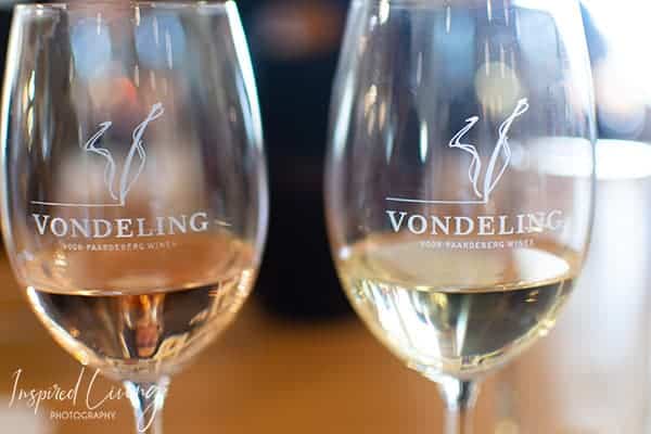 Wine Tasting Vondeling Wines