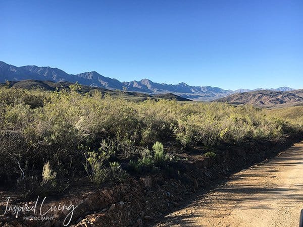 Wildehondekloof Oudtshoorn