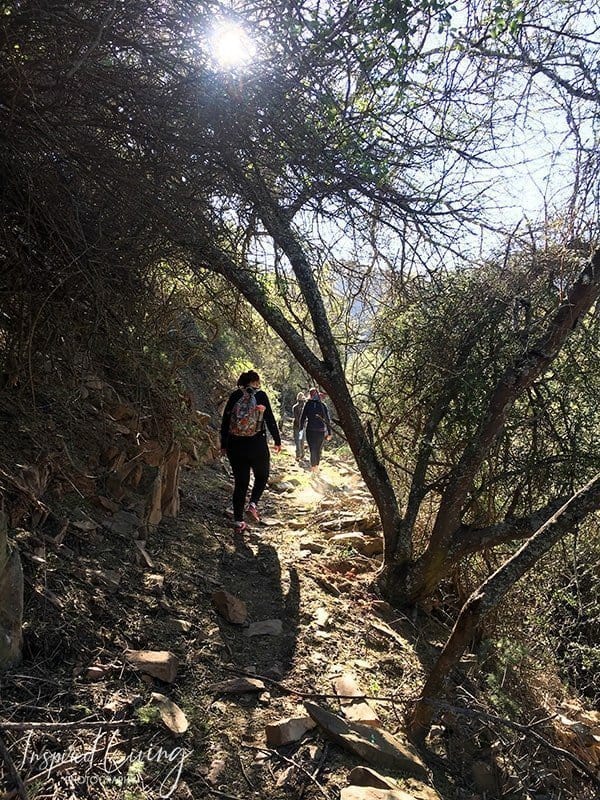 Swartberg Hikes