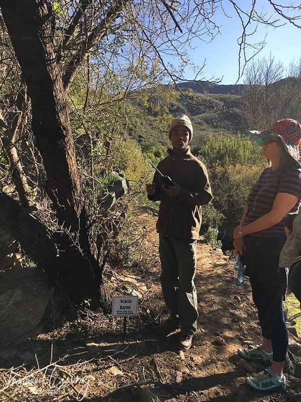 Swartberg Hikes