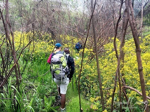 Hiking in Elgin