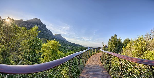 Cape Town Attractions