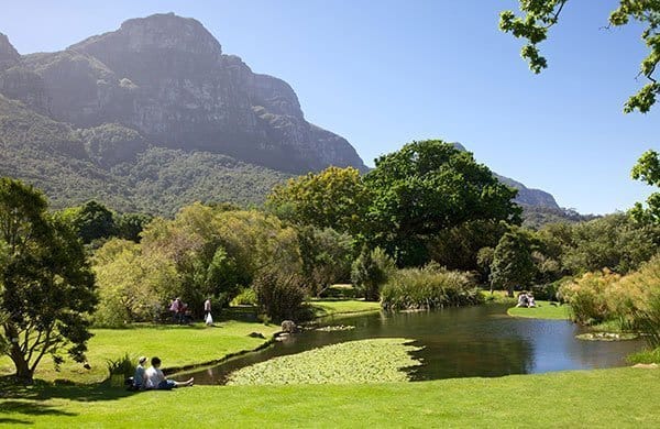 Kirstenbosch Gardens