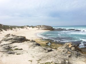 De Hoop Nature Reserve