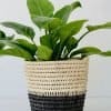 Handwoven Black and Natural Bamboo Planter