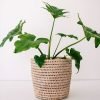 Handwoven Bamboo Planter Basket