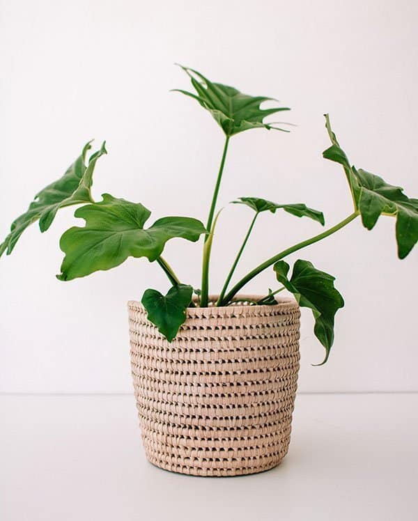 Planter Basket