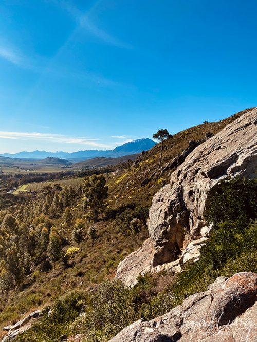 Hiking Slanghoek Valley