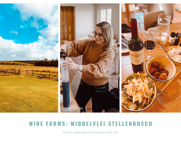 Middelvlei Wine estate